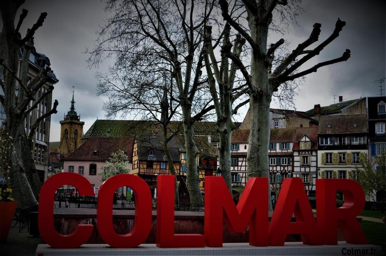 Charmant Appartement Cosy Porte De Colmar Sainte-Croix-en-Plaine Esterno foto